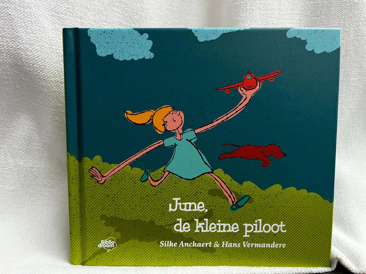 June de kleine piloot - Boek