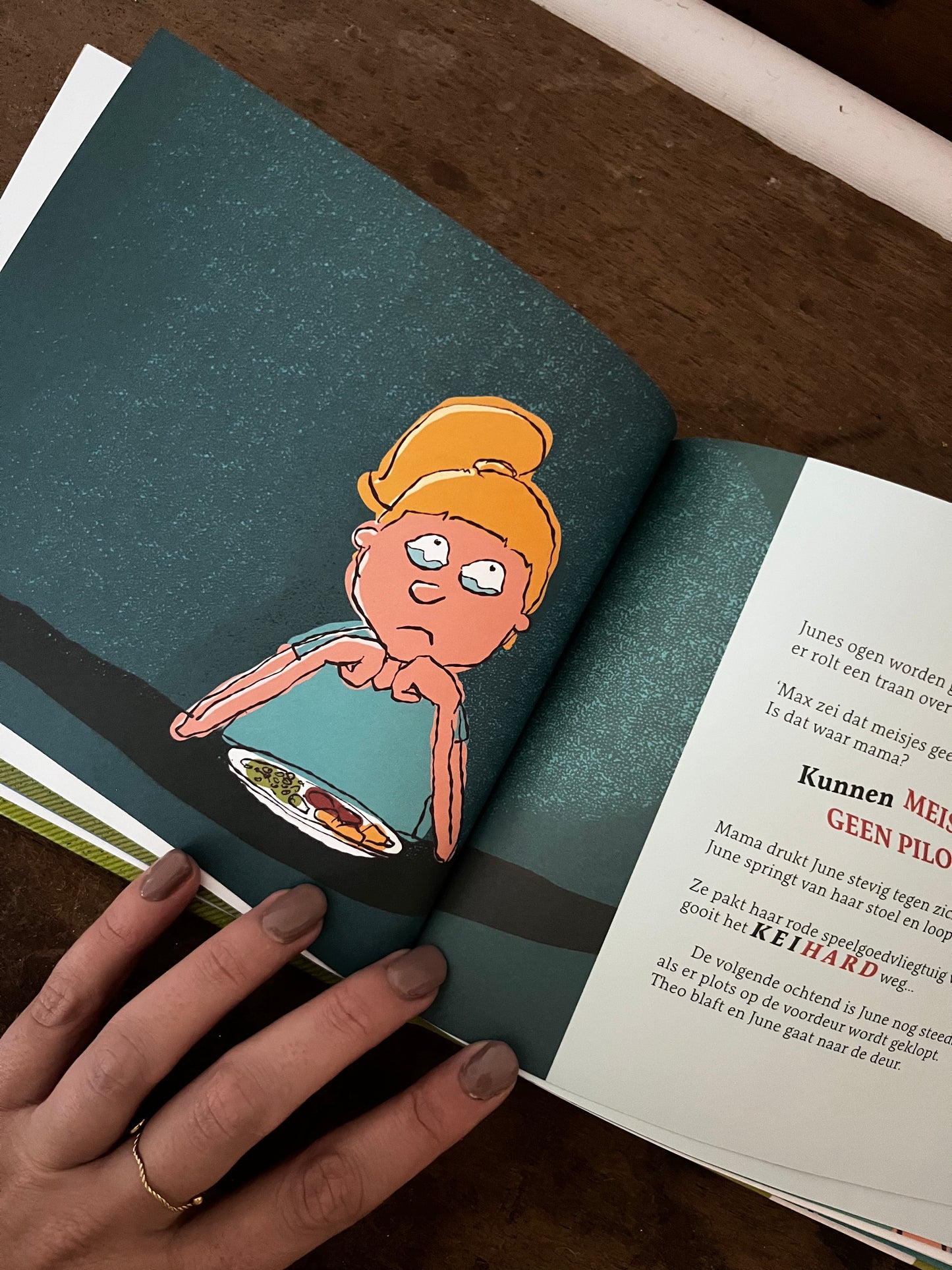 June de kleine piloot - Boek